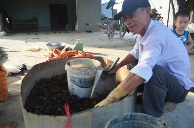 Vất vả nghề lội bùn bắt con... bò ngang - 8 Vất vả nghề lội bùn bắt con... bò ngang - 8