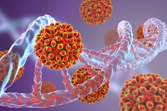 Virus viêm gan B: Kẻ thù siêu nhỏ thách thức y học thế giới - 1
