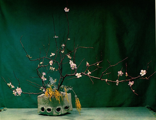 Ikebana: Đỉnh cao nghệ thuật cắm hoa truyền thống của Nhật Bản - 6