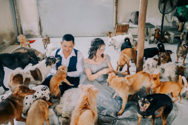 Cặp đôi chụp ảnh cưới độc đáo cùng dàn chó mèo cưng xỉu - 11 Cặp đôi chụp ảnh cưới độc đáo cùng dàn chó mèo cưng xỉu - 11
