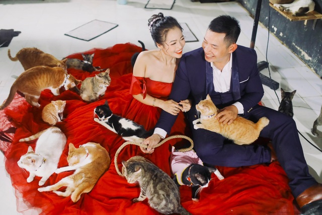 Cặp đôi chụp ảnh cưới độc đáo cùng dàn chó mèo cưng xỉu - 5 Cặp đôi chụp ảnh cưới độc đáo cùng dàn chó mèo cưng xỉu - 5