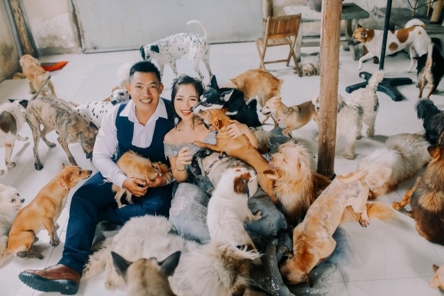 Cặp đôi chụp ảnh cưới độc đáo cùng dàn chó mèo cưng xỉu - 9