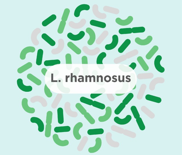 L.Rhamnosus - probiotic chuyên biệt cho trẻ sơ sinh và trẻ nhỏ - 2