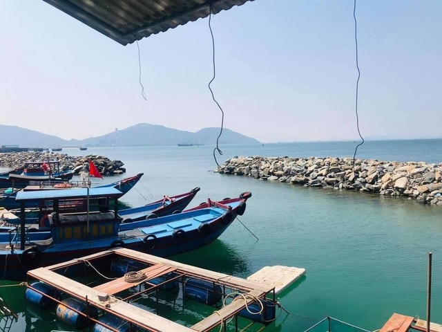 Con nhảy tanh tách, tiền triệu mỗi kg vẫn không có để bán - 2 Con nhảy tanh tách, tiền triệu mỗi kg vẫn không có để bán - 2