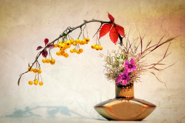 Ikebana có nhiều phong cách khác nhau. Nguồn ảnh: Japan Hoppers