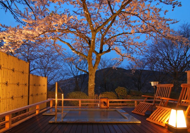 Tắm nước khoáng nóng từ núi Hakone tại ryokan cổ 130 tuổi - 3 Tắm nước khoáng nóng từ núi Hakone tại ryokan cổ 130 tuổi - 3