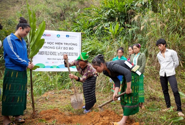 Mỹ hỗ trợ 2 dự án giúp Việt Nam bảo tồn hơn 950.000 hecta rừng - 1