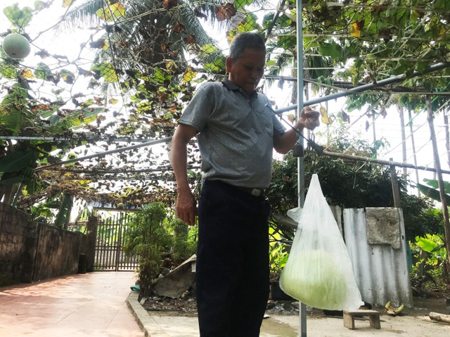 Gourd for giant fruit weighing 15kg / unique fruit in Hai Phong - 7