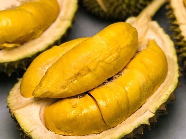 Trái sầu riêng: Không phải ai cũng thích nhưng vô cùng bổ dưỡng - 1 Trái sầu riêng: Không phải ai cũng thích nhưng vô cùng bổ dưỡng - 1