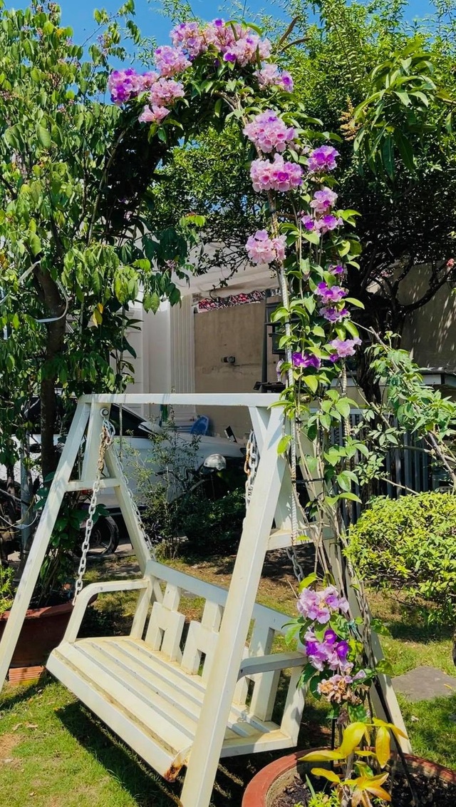 Khu vườn 300m2, bốn mùa ngập sắc hoa ở Vũng Tàu - 8 Khu vườn 300m2, bốn mùa ngập sắc hoa ở Vũng Tàu - 8