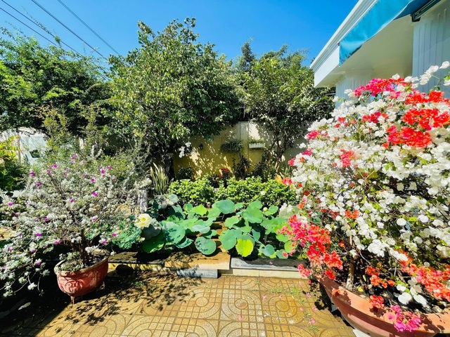 Khu vườn 300m2, bốn mùa ngập sắc hoa ở Vũng Tàu - 10 Khu vườn 300m2, bốn mùa ngập sắc hoa ở Vũng Tàu - 10