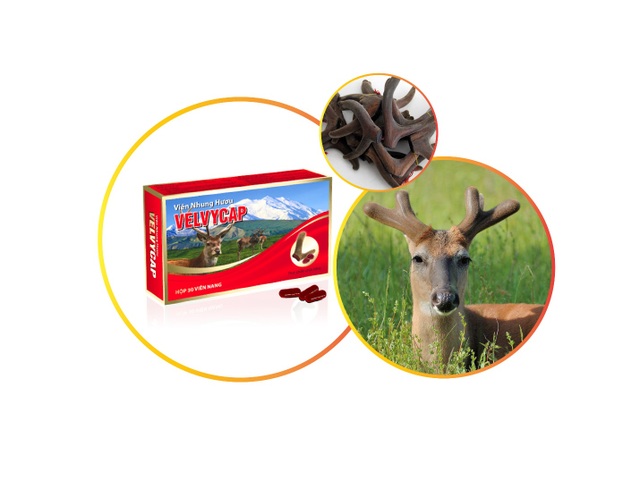 Tăng cường hệ miễn dịch - tăng cường sức khỏe toàn thân - 2 Tăng cường hệ miễn dịch - tăng cường sức khỏe toàn thân - 2