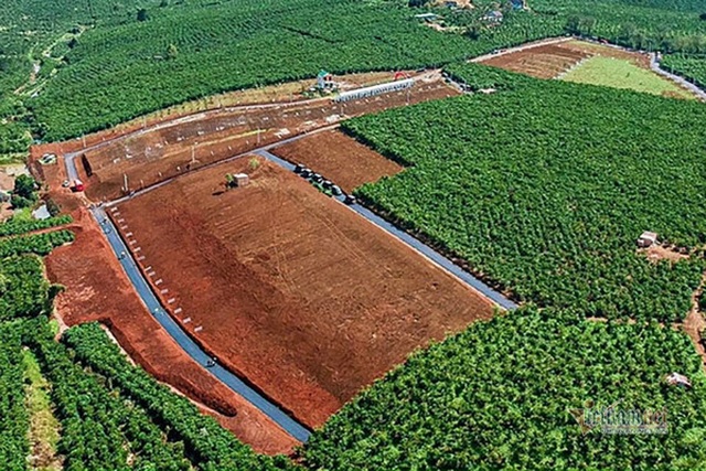 Lâm Đồng kiểm tra loạt khu đất phân lô bán nền gắn mác dự án bất động sản - 1 Lâm Đồng kiểm tra loạt khu đất phân lô bán nền gắn mác dự án bất động sản - 1