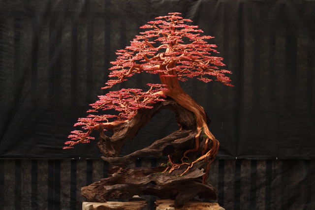 Mê mẩn những cây bonsai làm từ…dây đồng của 9X mắc bệnh máu khó đông - 4 Mê mẩn những cây bonsai làm từ…dây đồng của 9X mắc bệnh máu khó đông - 4