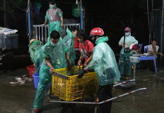 Trắng đêm ngày nghỉ lễ cùng người làm nghề sờ cá - 5 Trắng đêm ngày nghỉ lễ cùng người làm nghề sờ cá - 5