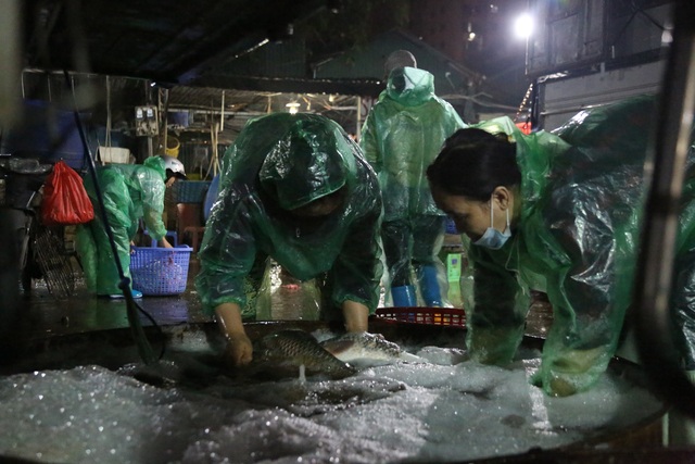 Trắng đêm ngày nghỉ lễ cùng người làm nghề sờ cá - 9 Trắng đêm ngày nghỉ lễ cùng người làm nghề sờ cá - 9