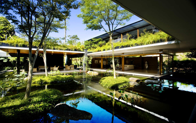 Ngôi nhà đẹp như resort nhờ vườn trên mái, hồ nước ngập cây - 1 Ngôi nhà đẹp như resort nhờ vườn trên mái, hồ nước ngập cây - 1