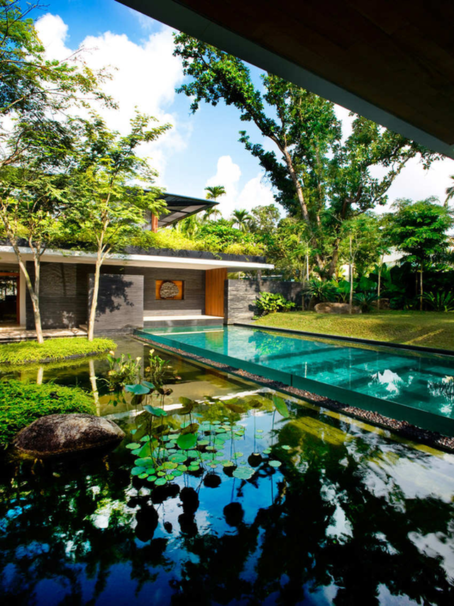 Ngôi nhà đẹp như resort nhờ vườn trên mái, hồ nước ngập cây - 6 Ngôi nhà đẹp như resort nhờ vườn trên mái, hồ nước ngập cây - 6
