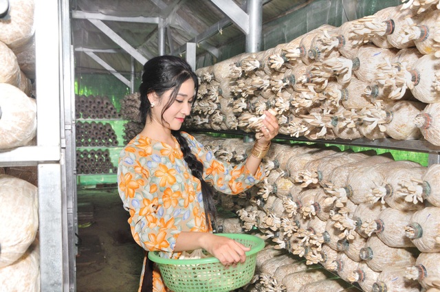 Nông dân 9X xinh đẹp sở hữu trại nấm và khu vườn trĩu quả vạn người mê - 3 Nông dân 9X xinh đẹp sở hữu trại nấm và khu vườn trĩu quả vạn người mê - 3
