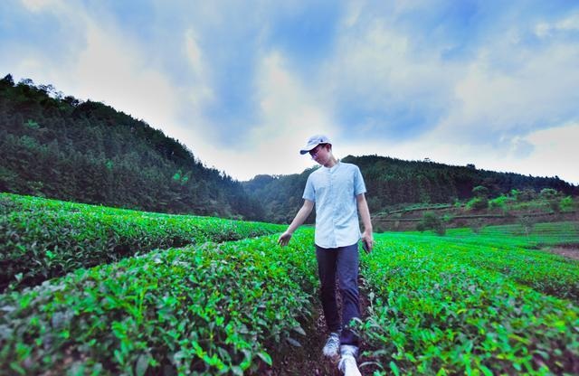 Chàng trai trẻ tậu ô tô, làm giàu nhờ về quê khởi nghiệp từ bán trà - 2 Chàng trai trẻ tậu ô tô, làm giàu nhờ về quê khởi nghiệp từ bán trà - 2