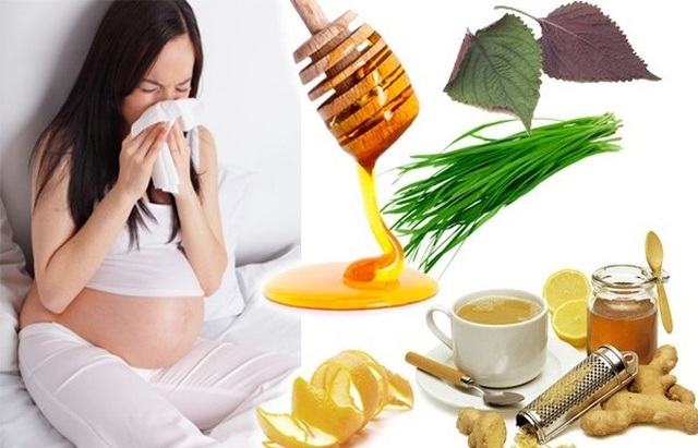 Mẹo trị ho cho bà bầu hoàn toàn từ thảo dược tự nhiên - 1 Mẹo trị ho cho bà bầu hoàn toàn từ thảo dược tự nhiên - 1
