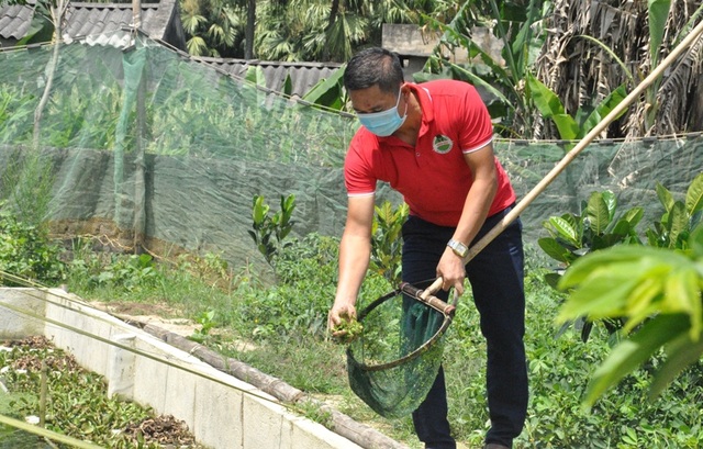 Từ vệ sĩ thành giám đốc công ty nuôi... ốc nhồi - 1