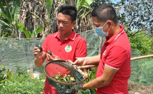 Từ vệ sĩ thành giám đốc công ty nuôi... ốc nhồi