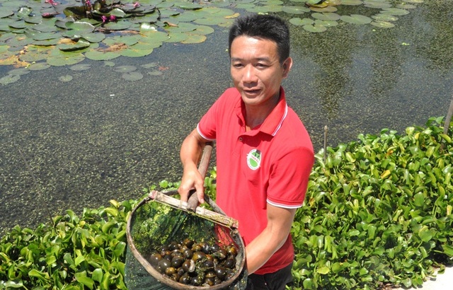 Từ vệ sĩ thành giám đốc công ty nuôi... ốc nhồi