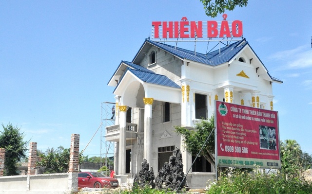 Từ vệ sĩ thành giám đốc công ty nuôi... ốc nhồi