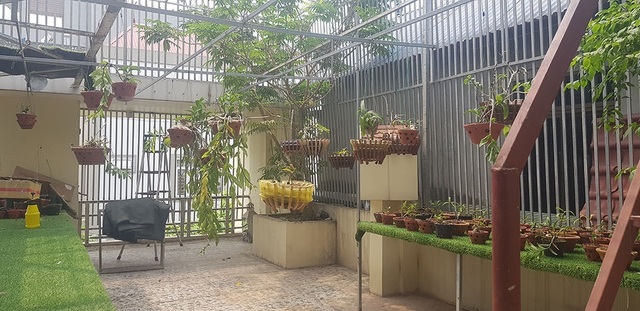 Buôn lan đột biến, người đàn ông bị 5 nhà vườn lừa đảo gần 10 tỷ đồng - 3 Buôn lan đột biến, người đàn ông bị 5 nhà vườn lừa đảo gần 10 tỷ đồng - 3
