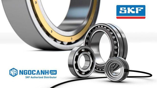 SKF Ngọc Anh: Thương hiệu lớn, thách thức lớn - 2 SKF Ngọc Anh: Thương hiệu lớn, thách thức lớn - 2