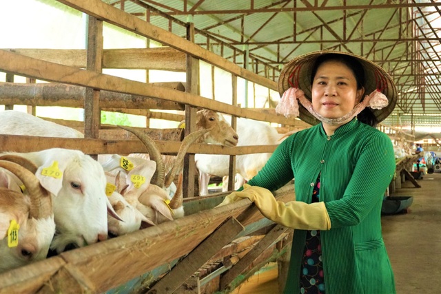 Tin tức  Hội nông dân TpHồ Chí Minh