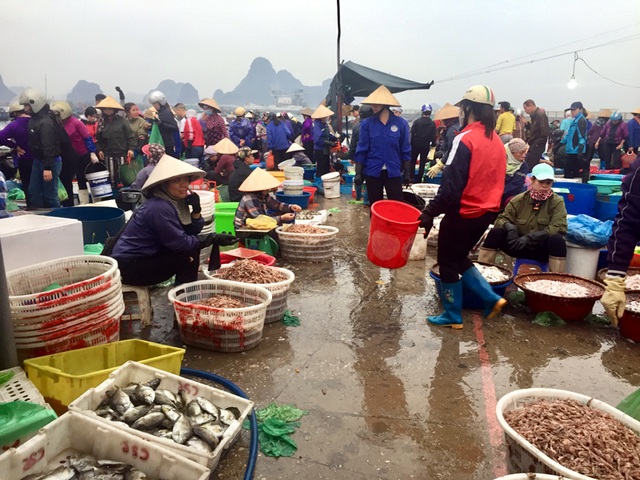 Một tiểu thương thăm người ốm ở Bệnh viện Nhiệt đới, cả chợ cá bị đóng cửa - 2 Một tiểu thương thăm người ốm ở Bệnh viện Nhiệt đới, cả chợ cá bị đóng cửa - 2