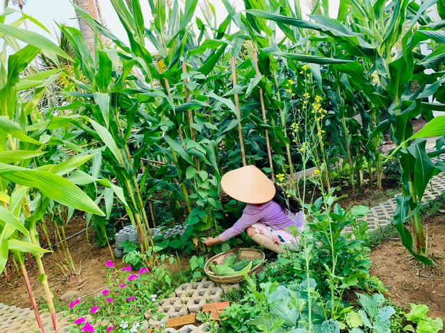 Khu vườn 720m2 đẹp như resort thu nhỏ người chồng tặng vợ ở Đồng Nai - 6