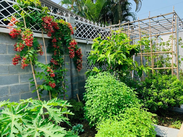Khu vườn 720m2 đẹp như resort thu nhỏ người chồng tặng vợ ở Đồng Nai - 7