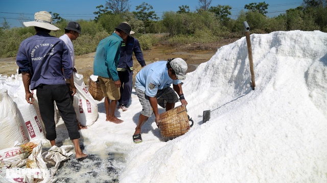 Nghề bán mặt cho đất, bán lưng cho trời của người dân Cần Giờ - 2 Nghề bán mặt cho đất, bán lưng cho trời của người dân Cần Giờ - 2