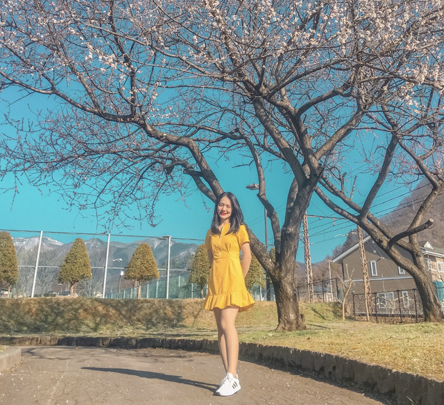 Hot girl ĐH Mở Hà Nội từ bỏ lời mời làm việc tại Nhật Bản để trở về trường - 1 Hot girl ĐH Mở Hà Nội từ bỏ lời mời làm việc tại Nhật Bản để trở về trường - 1