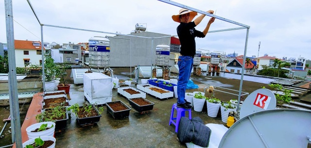 Mẹ đảm Hải Phòng vác đất lên sân thượng, tự tạo nông trại hữu cơ xanh tốt - 5 Mẹ đảm Hải Phòng vác đất lên sân thượng, tự tạo nông trại hữu cơ xanh tốt - 5