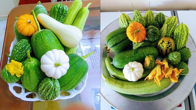 Mẹ đảm Hải Phòng vác đất lên sân thượng, tự tạo nông trại hữu cơ xanh tốt - 10 Mẹ đảm Hải Phòng vác đất lên sân thượng, tự tạo nông trại hữu cơ xanh tốt - 10