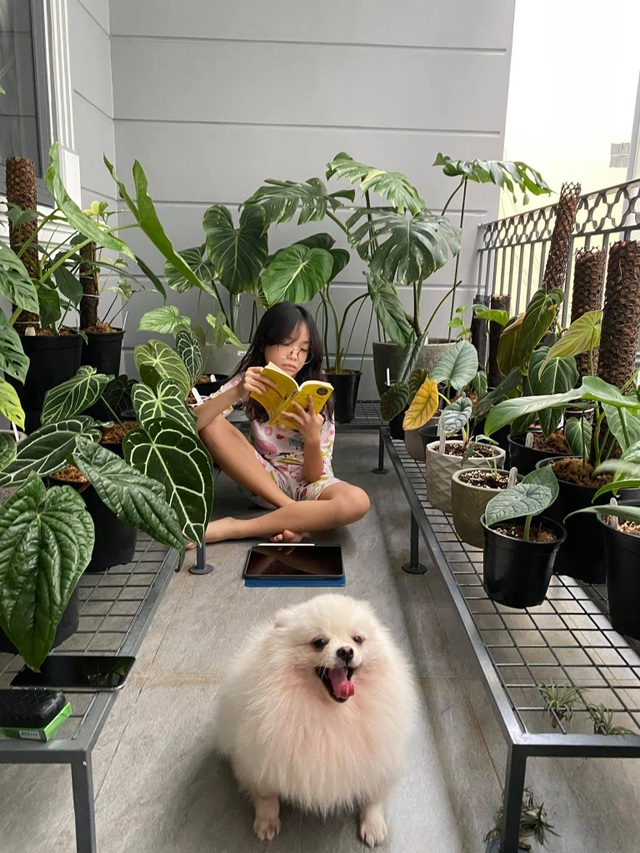 Mát mắt với nhà phố ở Sài Gòn ngập cây xanh, trĩu trịt hoa trái - 7 Mát mắt với nhà phố ở Sài Gòn ngập cây xanh, trĩu trịt hoa trái - 7