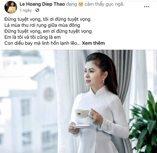 Bà Lê Hoàng Diệp Thảo nói gục ngã sau vụ li hôn nghìn tỷ với Vua cà phê - 2