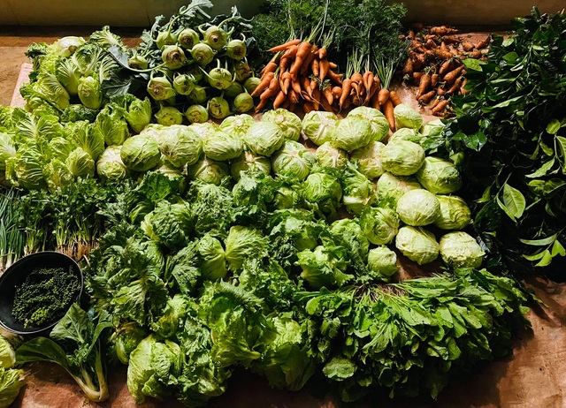 Cô gái bỏ nhà phố, xe sang ở Sài Gòn về quê cuốc đất làm nông dân - 4 Cô gái bỏ nhà phố, xe sang ở Sài Gòn về quê cuốc đất làm nông dân - 4