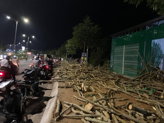 Xe chở củi mất phanh vò nát ô tô con, nữ tài xế tử vong - 4 Xe chở củi mất phanh vò nát ô tô con, nữ tài xế tử vong - 4