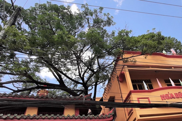 A unique temple worshiping Mrs. Hoa in the heart of Soc Trang city - 6