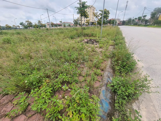 Vay tiền ngân hàng ôm đất khi sốt, nhà đầu tư ôm bom? - 2 Vay tiền ngân hàng ôm đất khi sốt, nhà đầu tư ôm bom? - 2
