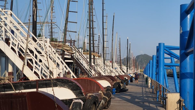 Tàu nằm cảng chưa biết ngày nào hoạt động, cả vạn lao động bị mất việc làm - 1 Tàu nằm cảng chưa biết ngày nào hoạt động, cả vạn lao động bị mất việc làm - 1