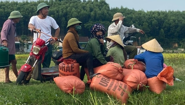Tranh thủ vụ Đông Xuân, người vận chuyển kiếm tiền triệu mỗi ngày - 5 Tranh thủ vụ Đông Xuân, người vận chuyển kiếm tiền triệu mỗi ngày - 5