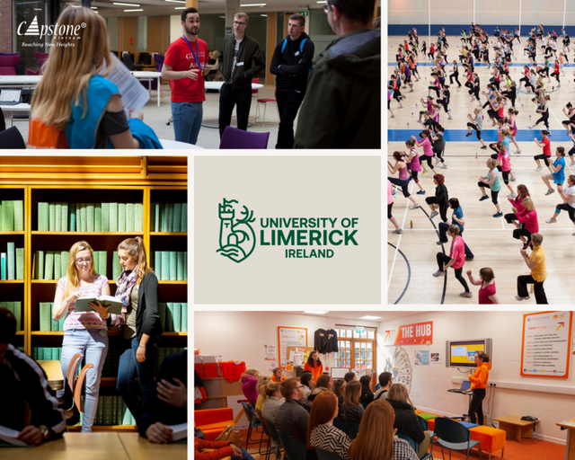 Cơ hội học tập, thực tập hưởng lương hấp dẫn tại Đại học Limerick, Ireland - 5