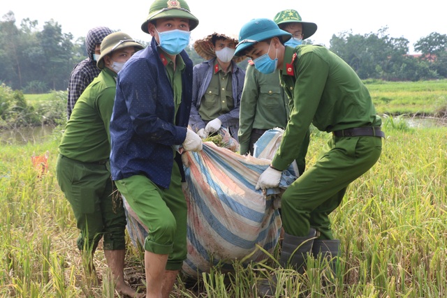 Công an lội ruộng gặt lúa giúp các trường hợp F1, F2 đang phải cách ly - 2