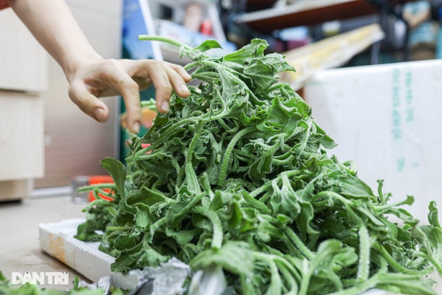 Extremely expensive diamond vegetables are still sold out in Hanoi - 1